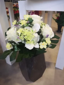 hortensia dans un pot