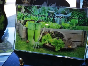 plaque moderne nature