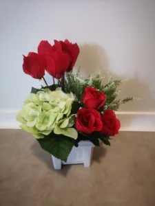 coupe de cyclamen roses orthensia