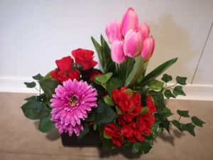 jardinier de tulipes roses marguerite