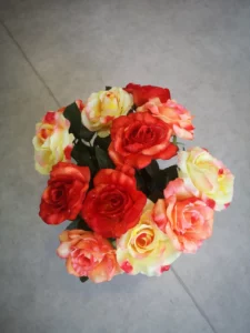 coupe des roses